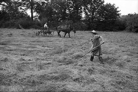 Reportage sur les foins