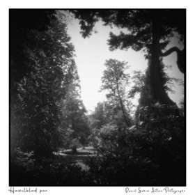 Création photographique noir et blanc argentique