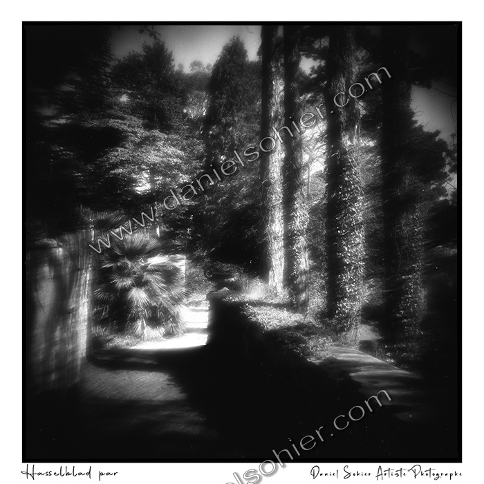 Création photographique noir et blanc argentique