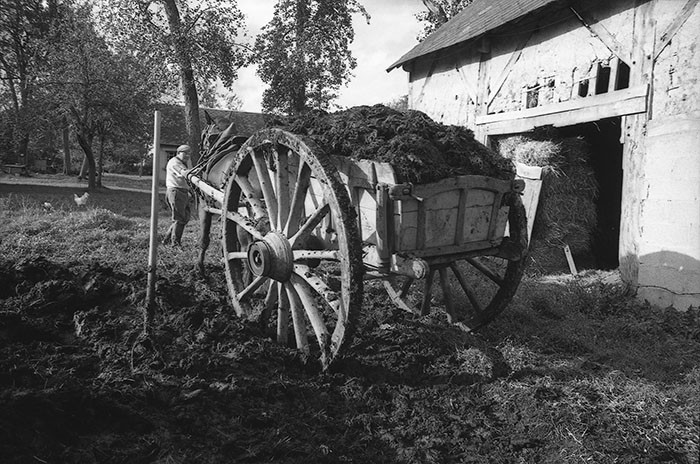 Le fumier dans l'Baniau
