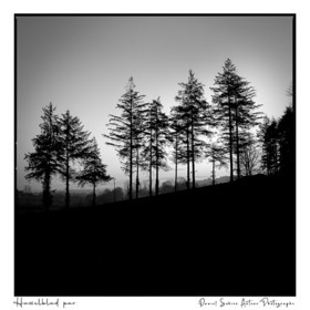 Création photographique noir et blanc argentique