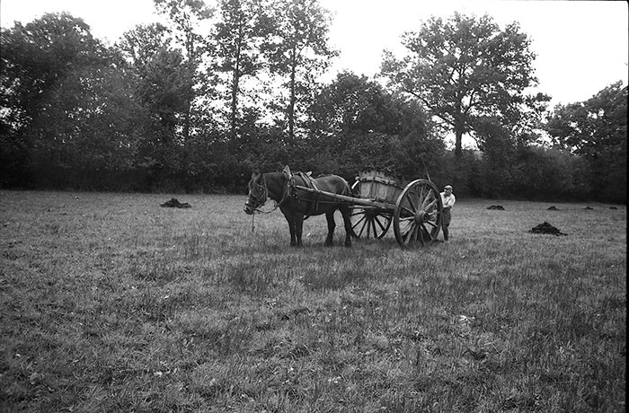 Le fumier dans l'Baniau