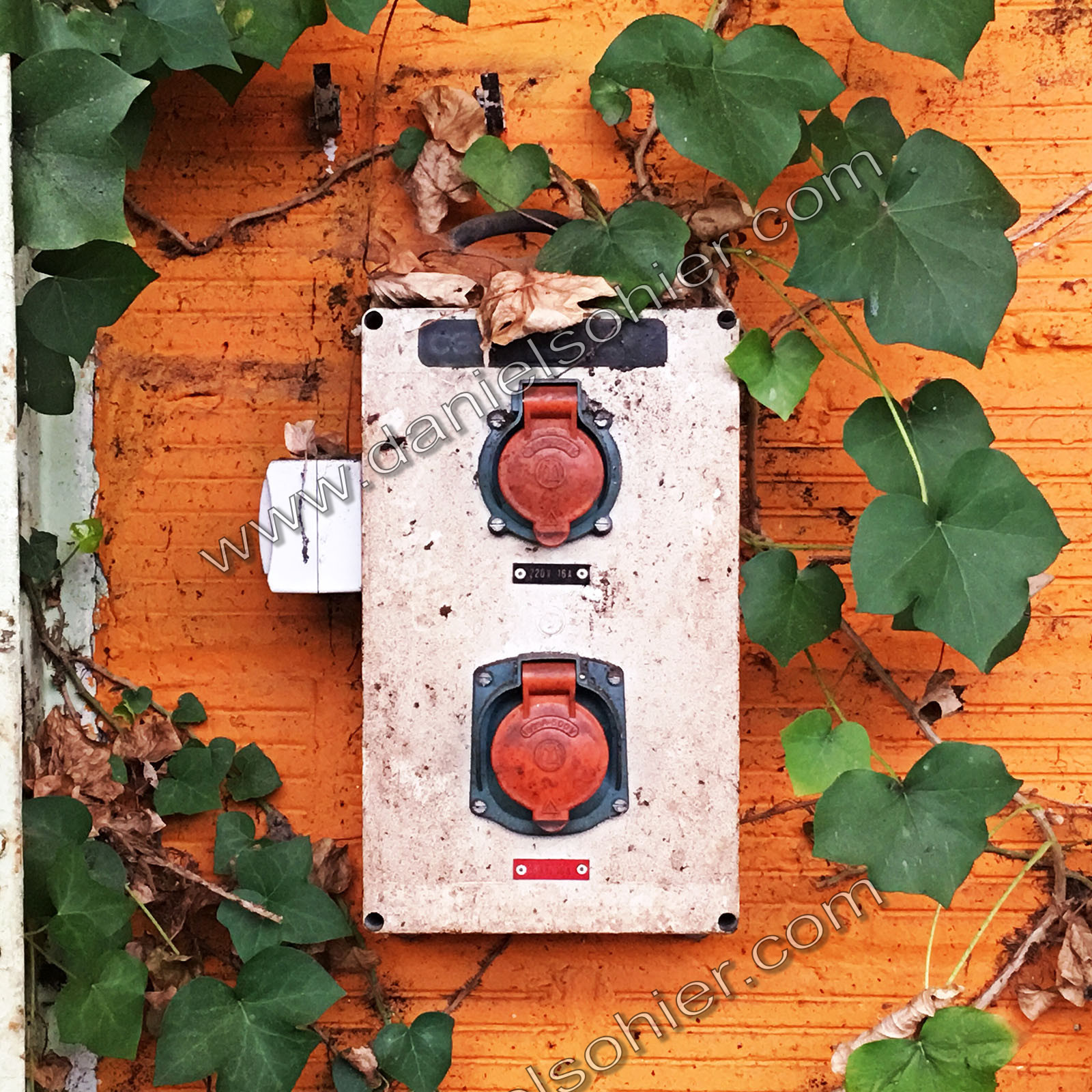 Hipstography couleurs