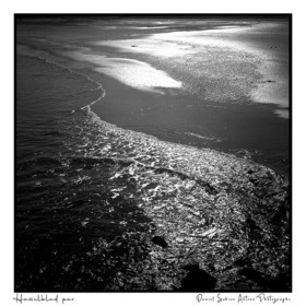 Création photographique noir et blanc argentique