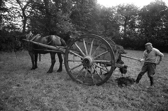 Le fumier dans l'Baniau