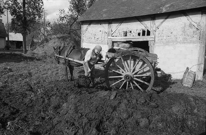 Le fumier dans l'Baniau