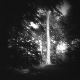 Création Noir&Blanc