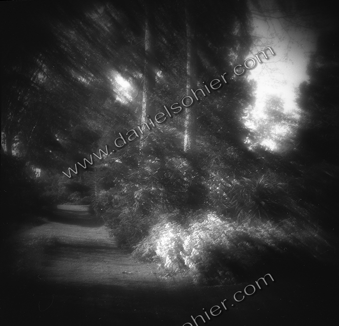 Création Noir&Blanc