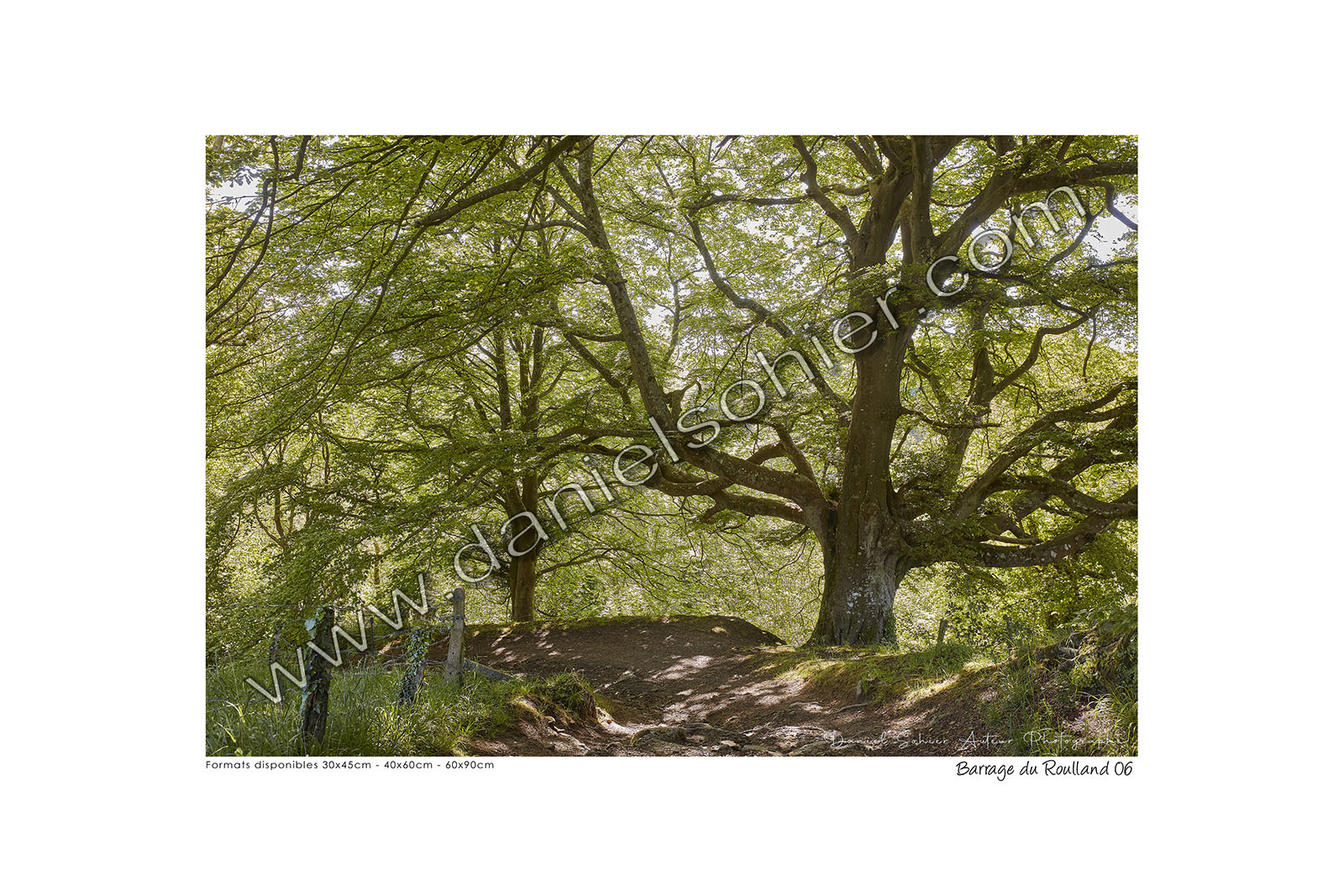 Photoggraphies de paysage