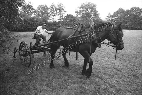 Reportage sur les foins