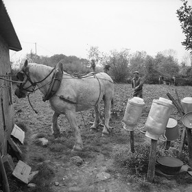 Le champ derrière la ferme