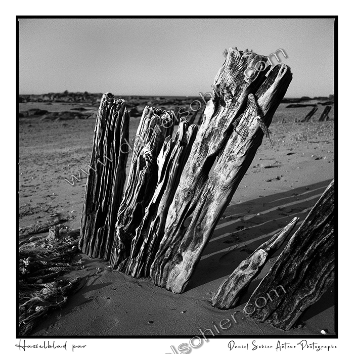 Création photographique noir et blanc argentique