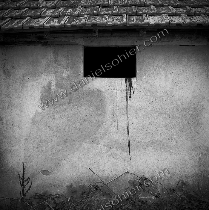 Création Noir&Blanc