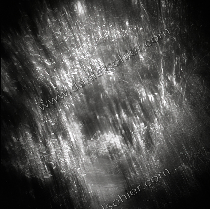 LE PARC - JARDIN FAVIER - Cherbourg en Cotentin - Manche - France 1986 - Hasselblad 6x6 argentique Photographie N° JF 07