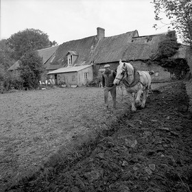 Le champ derrière la ferme