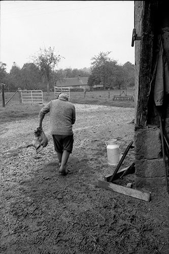 La journée du Cochon