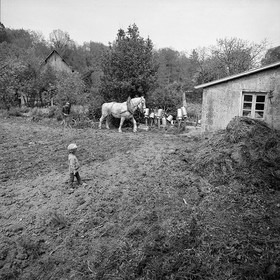 Le champ derrière la ferme