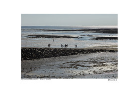 Photoggraphies de paysage