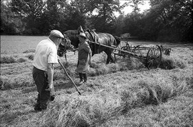 Reportage sur les foins