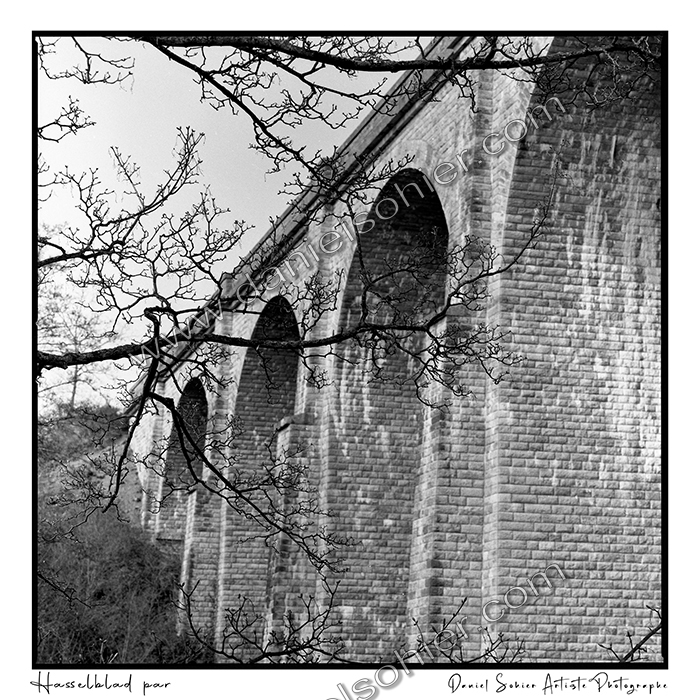 Création photographique noir et blanc argentique