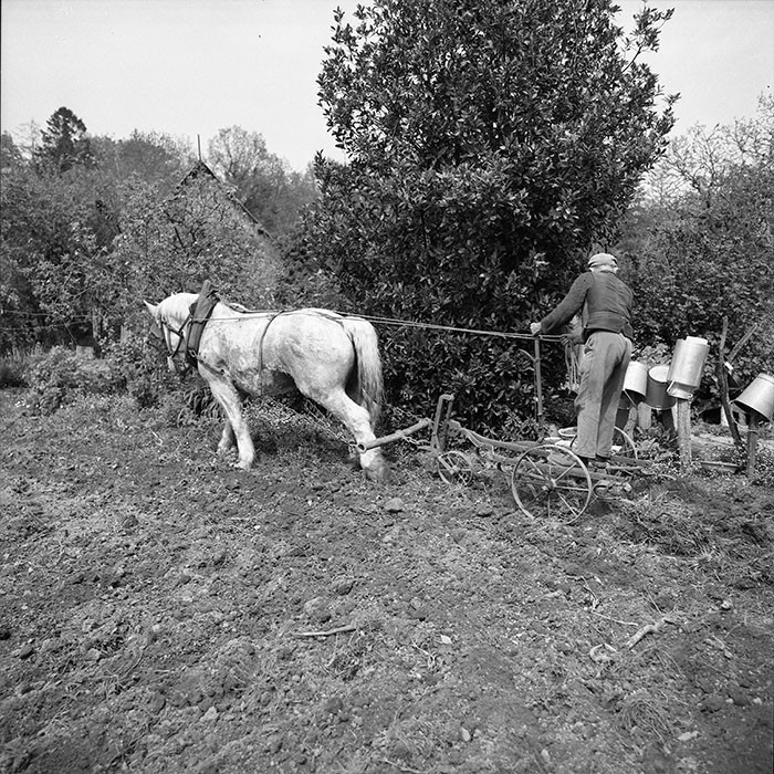 Le champ derrière la ferme
