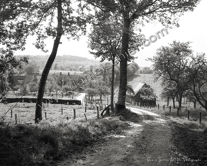 Création photographique noir et blanc argentique