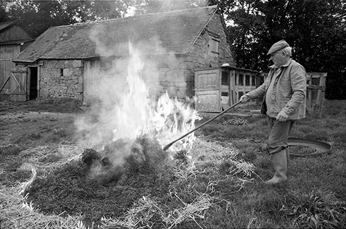 La journée du Cochon