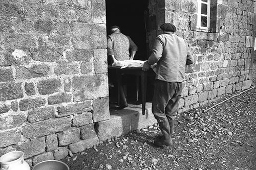 La journée du Cochon