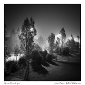 Création photographique noir et blanc argentique