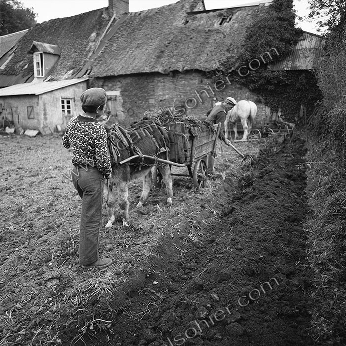 Le champ derrière la ferme