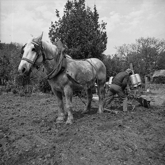 Le champ derrière la ferme