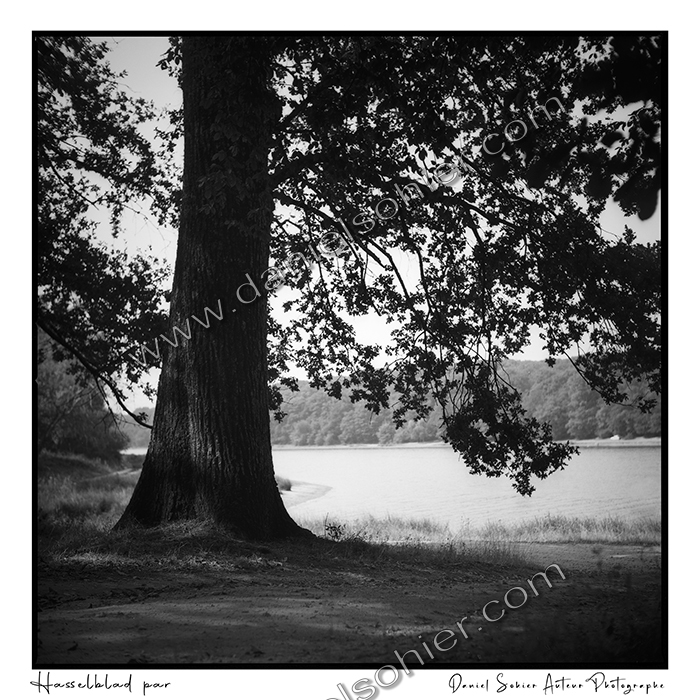 Création photographique noir et blanc argentique