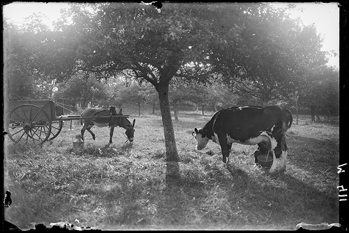 Photographie Gustave Bazire (1893-1941)