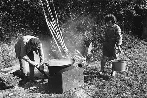 La journée du Cochon