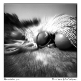 Création photographique noir et blanc argentique