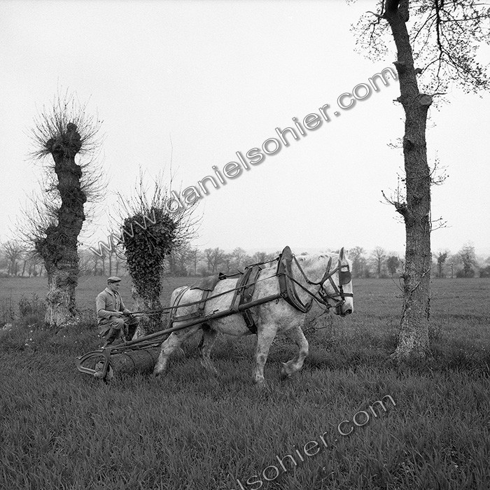 Le travail des champs