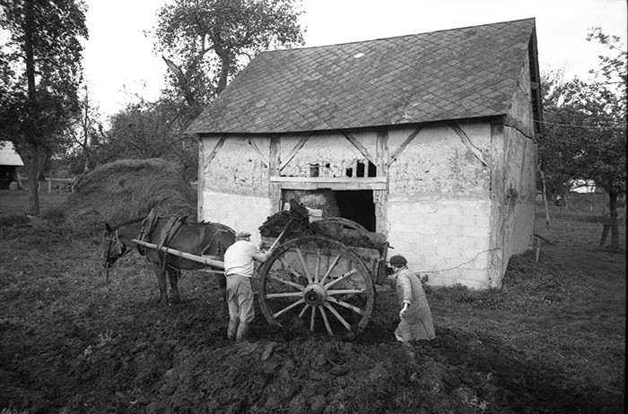 Le fumier dans l'Baniau