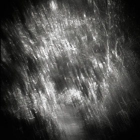 LE PARC - JARDIN FAVIER - Cherbourg en Cotentin - Manche - France 1986 - Hasselblad 6x6 argentique Photographie N° JF 07