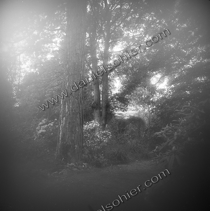 LE PARC - JARDIN FAVIER - Cherbourg en Cotentin - Manche - France 1986 - Hasselblad 6x6 argentique Photographie N° JF 06