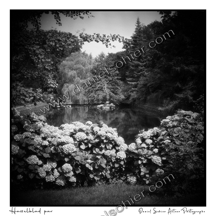 Création photographique noir et blanc argentique