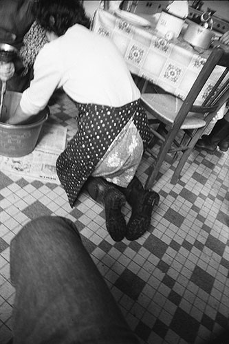 La journée du Cochon