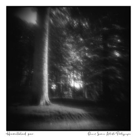 Création photographique noir et blanc argentique