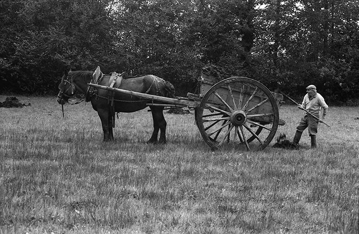 Le fumier dans l'Baniau