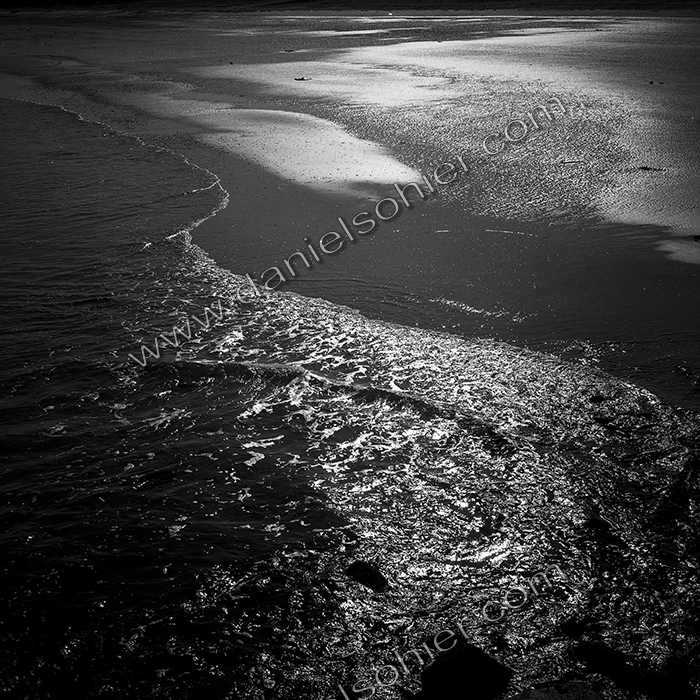 Création Noir&Blanc