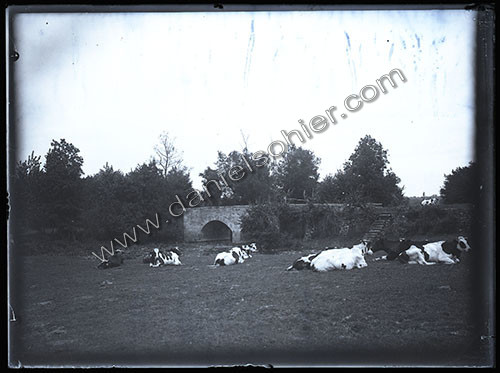 Plaques de verre 1910