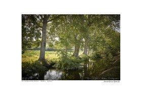 Photoggraphies de paysage