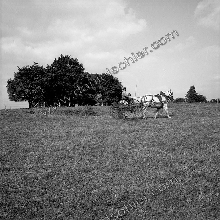 Le travail des champs