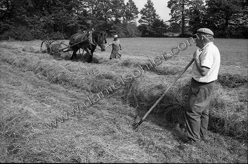 Reportage sur les foins