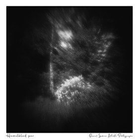 Création photographique noir et blanc argentique