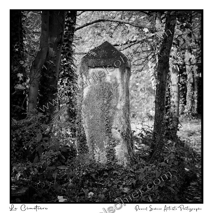 Création photographique noir et blanc argentique